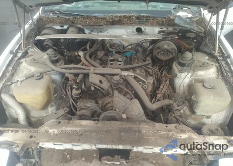 1982 Pontiac Firebird Trans Am из США, поврежденный, VIN 1G2AW87H4CL502787